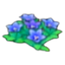 Carré de fleurs des collines