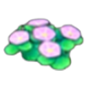 Carré de fleurs maritimes