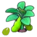 N'importe quelle culture